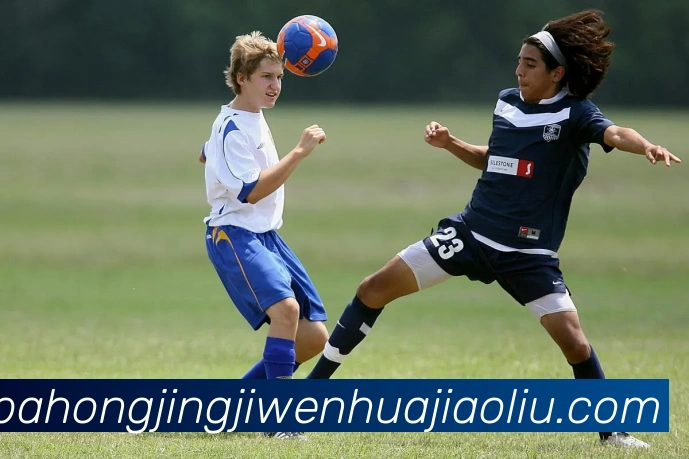 App Interface Preview