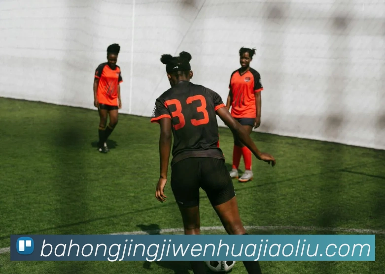 开云官网APP 封面图